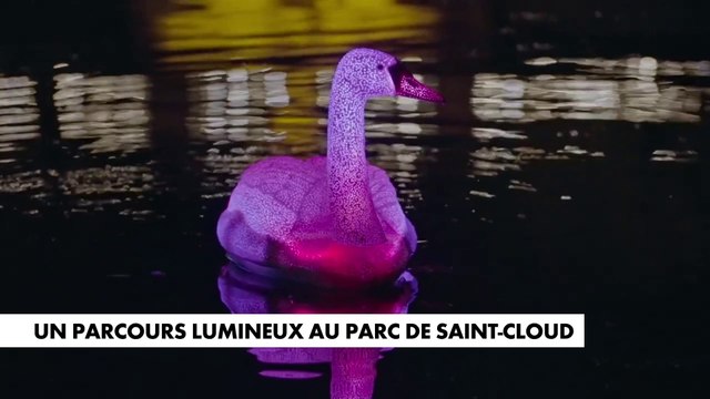 Culture : Sortie en famille à l'hippodrome Paris-Vincennes, illuminations au parc de Saint-Cloud