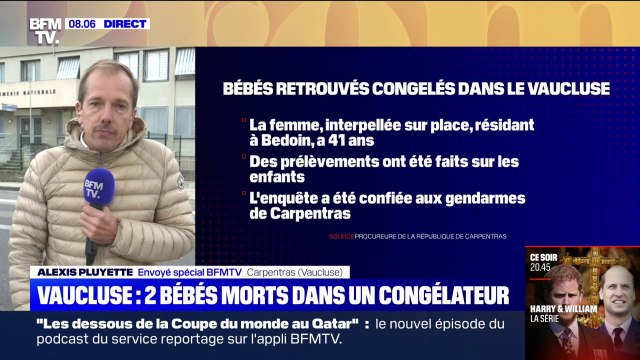Vaucluse: deux bébés retrouvés morts dans un congélateur