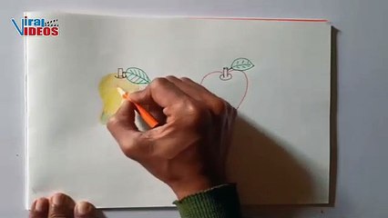 How to drawing an Apple and Mango with filling color || how to draw an apple for beginners
