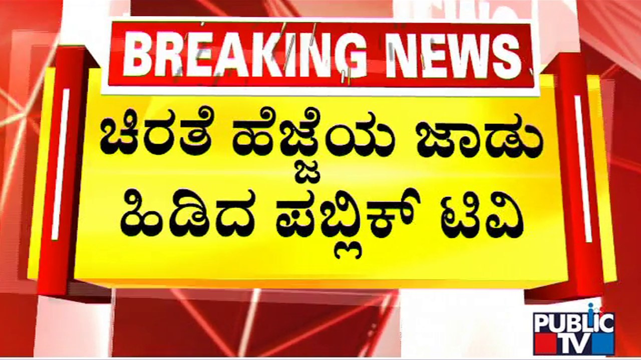 Leopard Scare In Jattigarahalli; Public TV Ground Report | Public TV