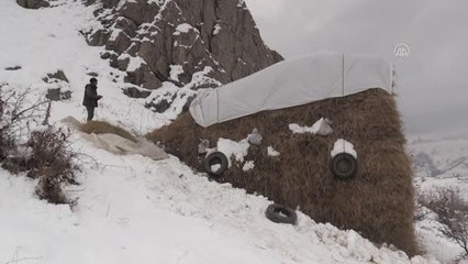 Besicilerin kış şartlarıyla mücadelesi başladı