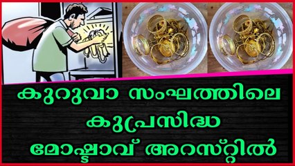 കുറുവാ സംഘത്തിലെ കുപ്രസിദ്ധ മോഷ്ടാവ് അറസ്റ്റിൽ