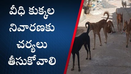 కూసుమంచి: వీధి కుక్కలతో భయపడుతున్న ప్రజలు