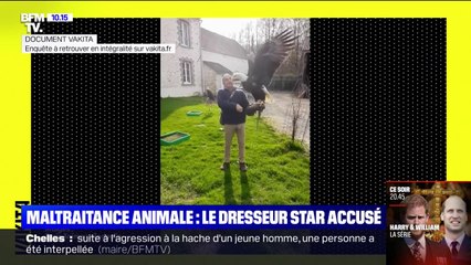 Download Video: Le dresseur star Pierre Cadéac accusé de maltraitance animale