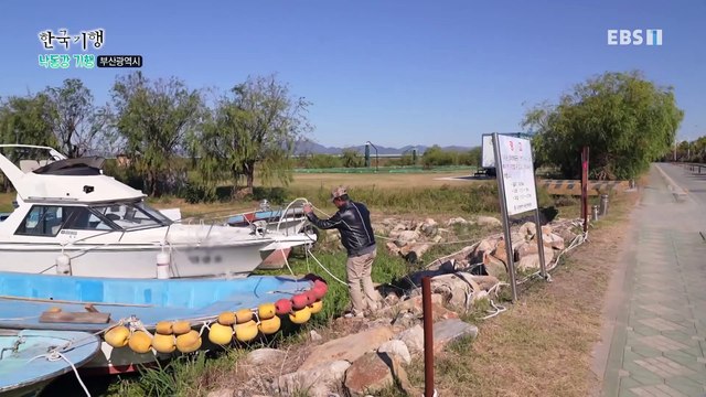 한국기행 - Korea travel_낙동강 기행 5부- 바다로 가는 길_#001