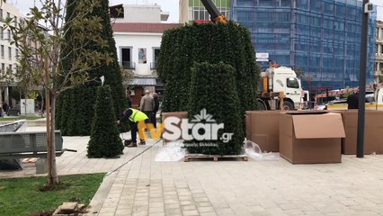 Λαμία: Στήθηκε το χριστουγεννιάτικο δέντρο στην Πλατεία Πάρκου