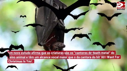 Estudo alega que morcegos ‘superam’ o alcance vocal de Mariah Carey