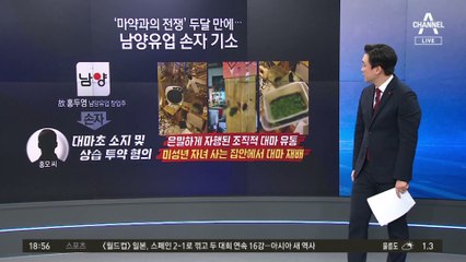 재벌가 손자도 가수도 줄줄이 ‘대마초 스캔들’