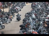 Study Major motorcycle rallies see boost in organ donations