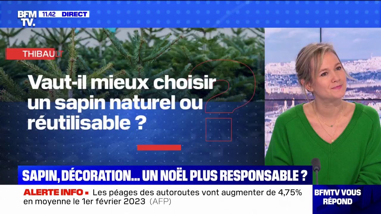 Noël: vaut-il mieux choisir un sapin naturel ou réutilisable? BFMTV répond à vos questions