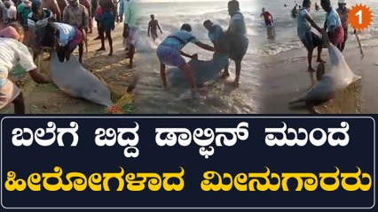 ಮೀನುಗಾರರ ಬಲೆಗೆ ಸಿಕ್ಕಿಬಿದ್ದ ಡಾಲ್ಫಿನ್ ಒದ್ದಾಟ ನೋಡಿ ಮೀನುಗಾರರು ಮಾಡಿದ್ದೇನು ನೋಡಿ | Oneindia Kannada