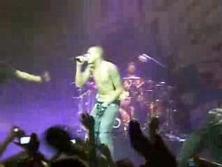 So Cute Chris Brown Zénith