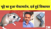 Uttar Pradesh में चूहे का हुआ Post mortem, दर्ज हुई शिकायत I Badaun