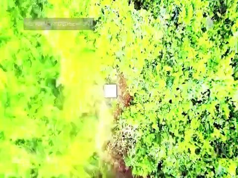 Невероятно интересные истории (02.12.2022)