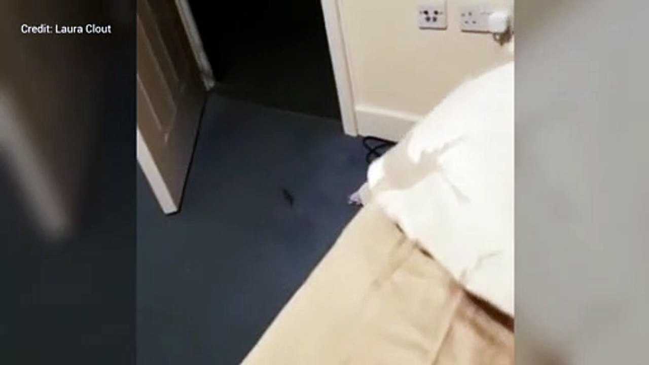 Mum gets compensation after living with rodents for years