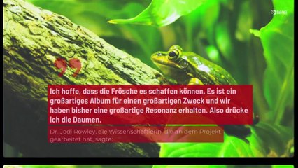 Australien: Frösche wollen Taylor Swift von der Spitze der Charts räumen