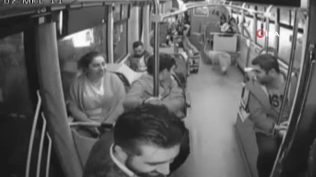 Şiddetli yağmurdan kaçan köpek, halk otobüsüne sığındı... Yolcularla böyle seyahat etti