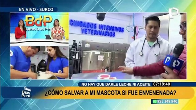 ¡Alerta! Se incrementa número de mascotas envenenadas en varios distritos de Lima