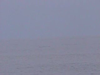 Arrivée à la plage