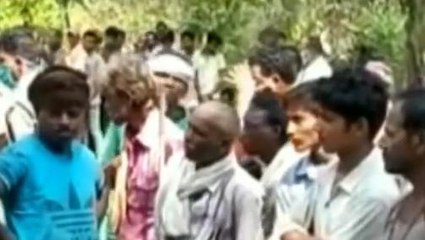 बालाघाट: क्षेत्र में बढ़ा बाघों का मूवमेंट,खेत में काम कर रही महिला का किया शिकार