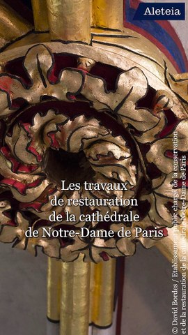 Ref:x8g0arr NOTRE-DAME