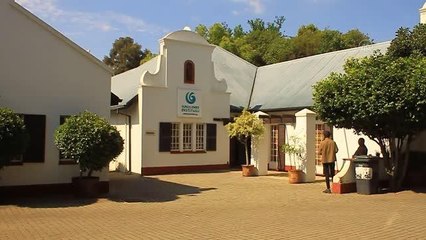JOHANNESBURG - Güney Afrikalı down sendromlu sanatçı Türkiye'yi resmediyor