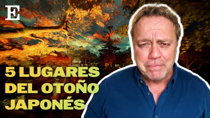 Top 5 de Paco Nadal: 5 lugares para disfrutar del otoño en Japón