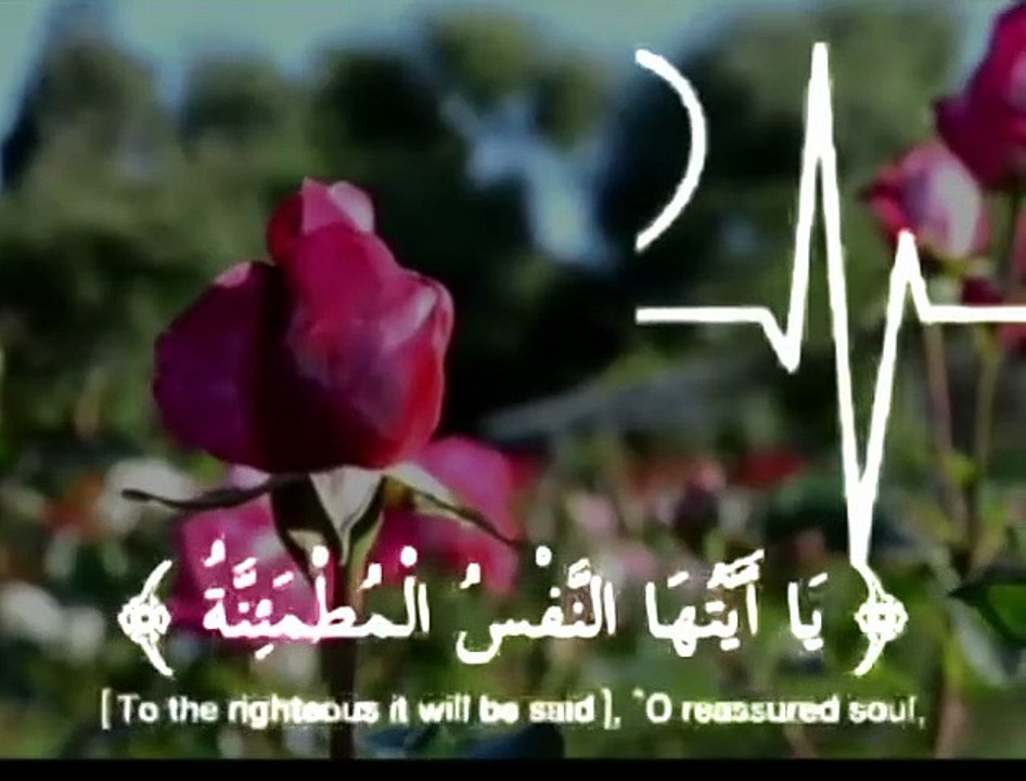 تلاوات من القران الكريم