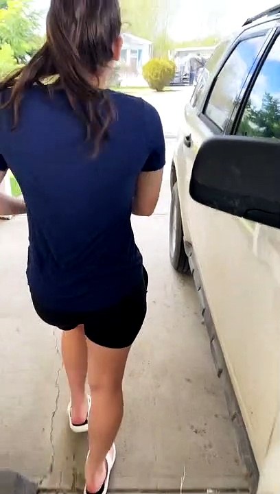 Cat Loves Going on Adventures with Dog