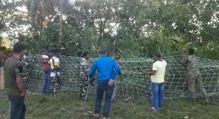 ভল্লুক বাগে আনতে নাজেহাল বনকর্মীরা |OneIndia Bengali