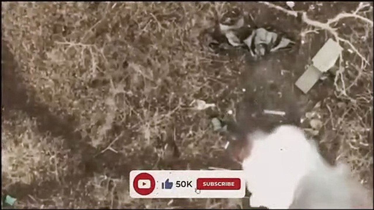 Choice is small Meatgrinder or escape Ukraine war footage