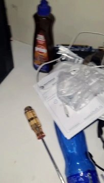Escuchó ruidos en su computadora y, cuando la abrió, encontró un intruso inesperado