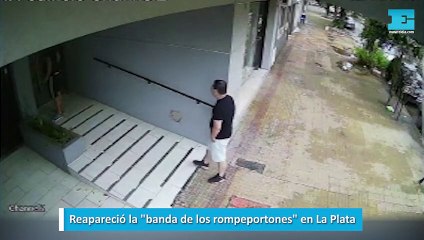 Reapareció la "banda de los rompeportones" en La Plata