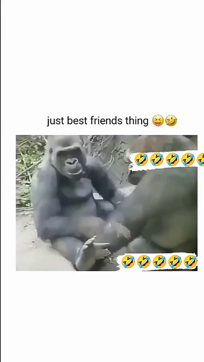 Just Best Friend Things 