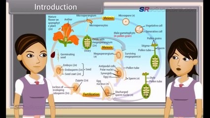 How do Organisms Reproduce part 2