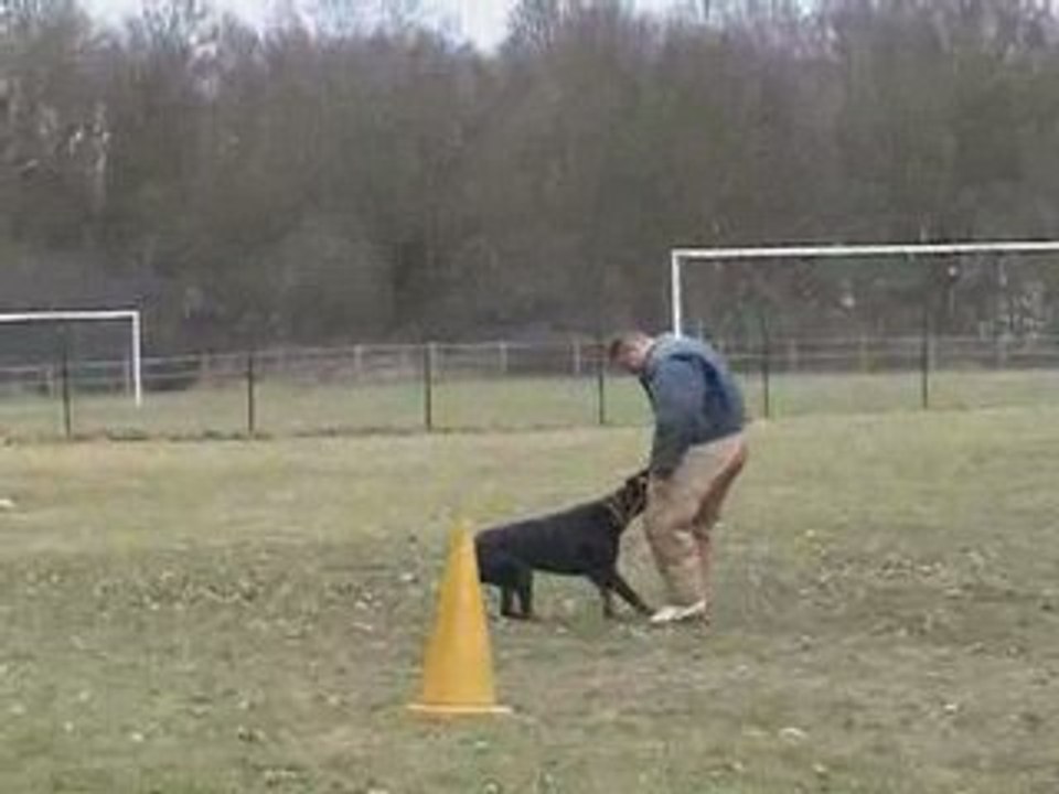 Baltik garde au ferme