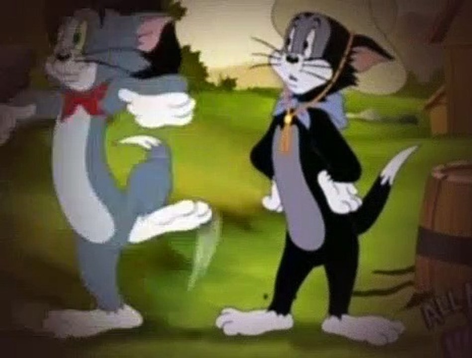 Tom and Jerry 330 24 Karat Kat [2007] video Dailymotion