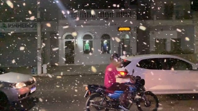 Nuvem de besouros que vem invadindo cidades do Sertão chega à Cajazeiras e assusta moradores