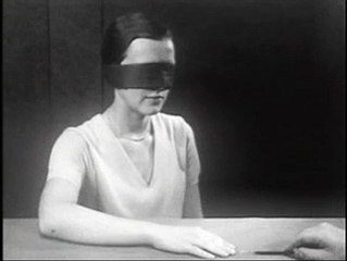 Reactions in plants and animals.