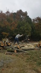 Suami istri adik ipar Turki ku bantu kami tentang perkayuan