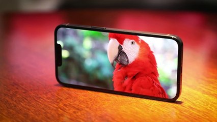 Recurso do iPhone 14 ajuda a salvar vida de homem nos EUA