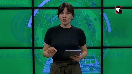 VALOR AMBIENTAL - PROGRAMA 4