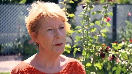 If you live in Adelaide you might notice that natural shade is becoming harder to find