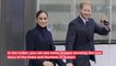The Detail Harry and Meghan's Fans Noticed In The Documentary Trailer