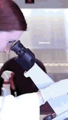 Spelling Practice. Clip No. 53