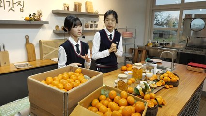 '라방'으로 감귤 판매 도전한 제주 중학생들 / YTN