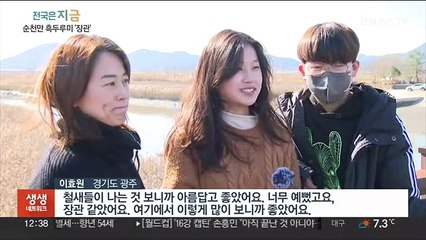 순천만 흑두루미 1만 마리 장관…서식지 확대 필요