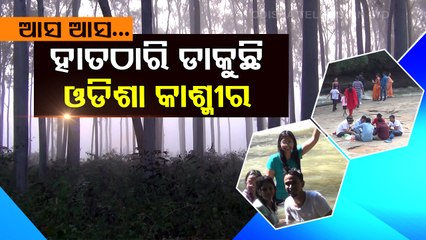 Special Story | Tourists throng Daringbadi as winter falls