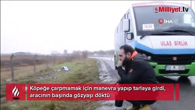 Köpeğe çarpmamak için manevra yapıp tarlaya girdi, aracının başında gözyaşı döktü