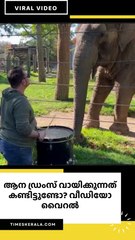  ആന ‍ഡ്രംസ് വായിക്കുന്നത് കണ്ടിട്ടുണ്ടോ? വീഡിയോ വൈറൽ